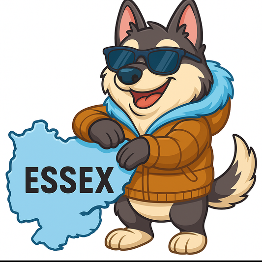 Air conditioning installation Essex