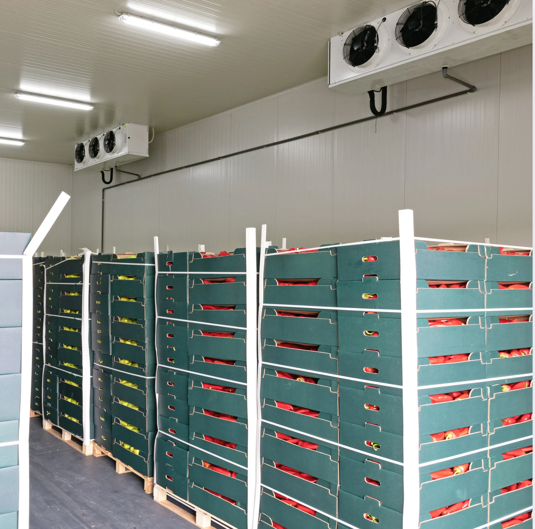 Commercial cold room with stacked green crates of produce, illustrating Akita AC’s refrigeration installation